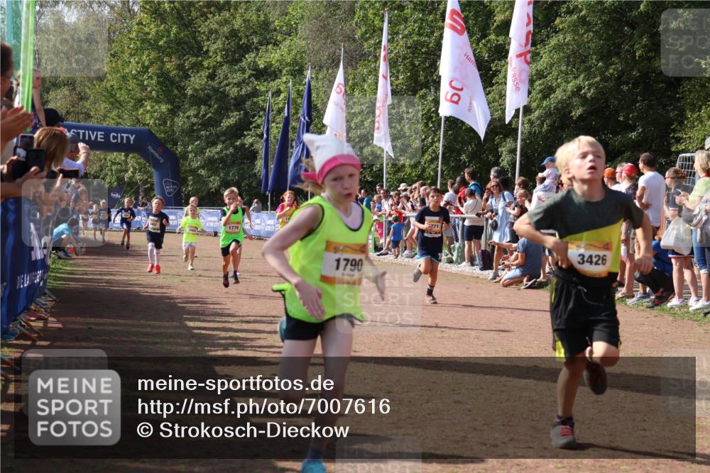 08.09.2024 - Airport Race Strokosch-Dieckow http://msf.ph/oto/7007616 08.09.2024 11:28:40 Ziel 1604, 1731, 1739, 1760, 1771, 1779, 1790, 1817, 1858, 1918, 1933, 3402, 3404, 3419, 3426 meine-sportfotos.de