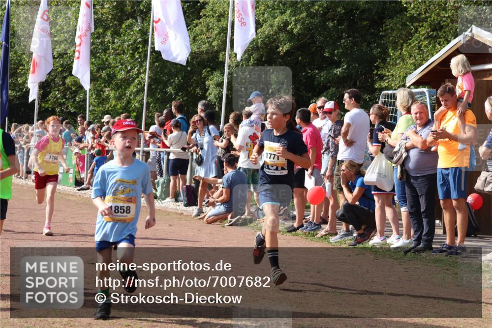08.09.2024 - Airport Race Strokosch-Dieckow http://msf.ph/oto/7007682 08.09.2024 11:28:42 Ziel 1604, 1660, 1731, 1760, 1771, 1779, 1790, 1817, 1858, 1877, 1909, 1933, 3402, 3404, 3419, 3426 meine-sportfotos.de