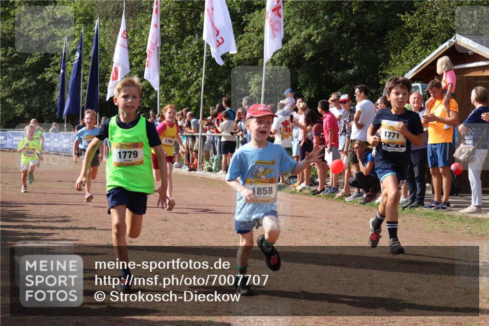 08.09.2024 - Airport Race Strokosch-Dieckow http://msf.ph/oto/7007707 08.09.2024 11:28:42 Ziel 1604, 1660, 1731, 1760, 1771, 1779, 1790, 1817, 1858, 1877, 1909, 1933, 3402, 3404, 3419, 3426 meine-sportfotos.de