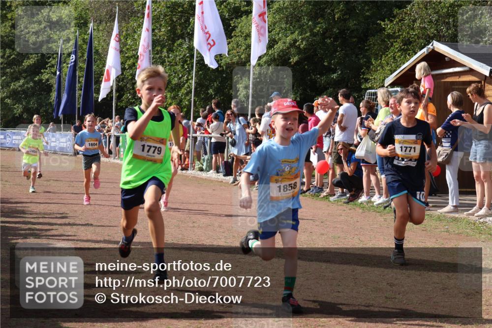 08.09.2024 - Airport Race Strokosch-Dieckow http://msf.ph/oto/7007723 08.09.2024 11:28:42 Ziel 1604, 1660, 1731, 1760, 1771, 1779, 1790, 1817, 1858, 1877, 1909, 1933, 3402, 3404, 3419, 3426 meine-sportfotos.de