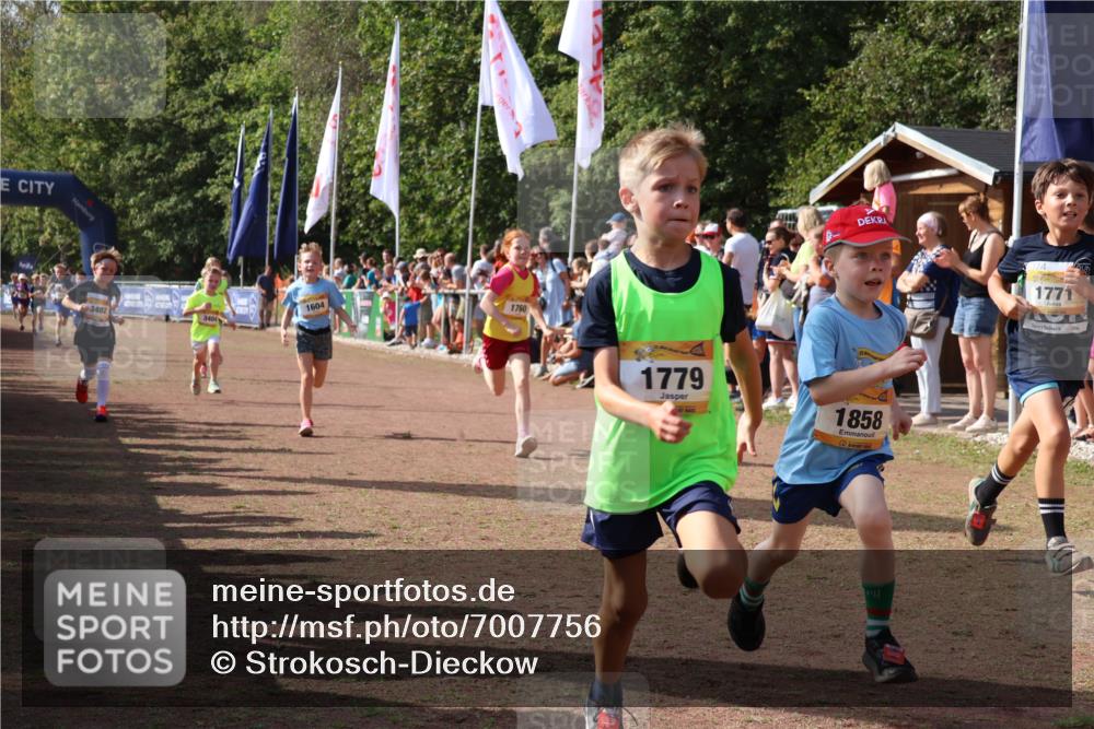 08.09.2024 - Airport Race Strokosch-Dieckow http://msf.ph/oto/7007756 08.09.2024 11:28:43 Ziel 1604, 1660, 1731, 1760, 1771, 1779, 1817, 1855, 1858, 1877, 1909, 1933, 3402, 3404, 3426 meine-sportfotos.de