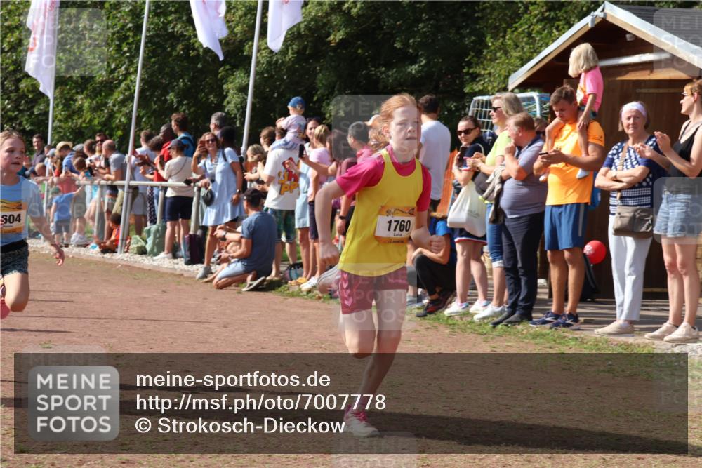 08.09.2024 - Airport Race Strokosch-Dieckow http://msf.ph/oto/7007778 08.09.2024 11:28:44 Ziel 1604, 1660, 1731, 1760, 1771, 1779, 1817, 1855, 1858, 1877, 1909, 1933, 3402, 3404 meine-sportfotos.de