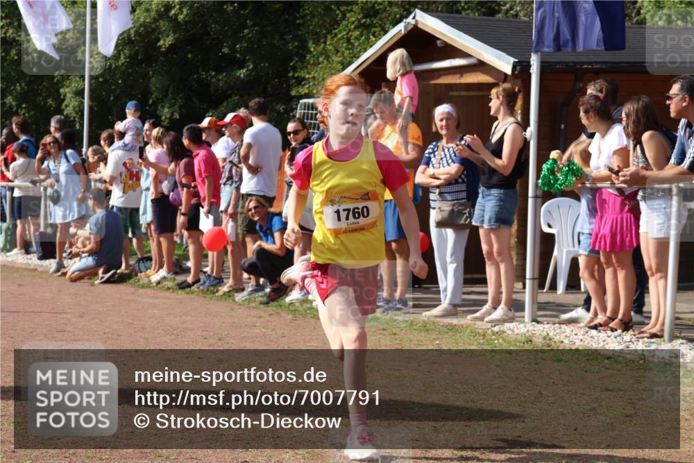08.09.2024 - Airport Race Strokosch-Dieckow http://msf.ph/oto/7007791 08.09.2024 11:28:44 Ziel 1604, 1660, 1731, 1760, 1771, 1779, 1817, 1855, 1858, 1877, 1909, 1933, 3402, 3404 meine-sportfotos.de