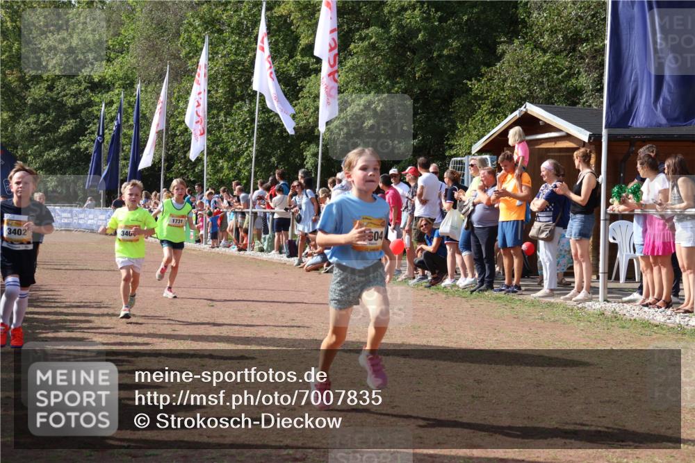 08.09.2024 - Airport Race Strokosch-Dieckow http://msf.ph/oto/7007835 08.09.2024 11:28:45 Ziel 1604, 1660, 1694, 1731, 1760, 1771, 1817, 1855, 1877, 1909, 1933, 3402, 3404 meine-sportfotos.de