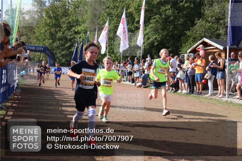 08.09.2024 - Airport Race Strokosch-Dieckow http://msf.ph/oto/7007907 08.09.2024 11:28:47 Ziel 1604, 1660, 1687, 1694, 1731, 1741, 1817, 1855, 1877, 1909, 1933, 3402, 3404 meine-sportfotos.de