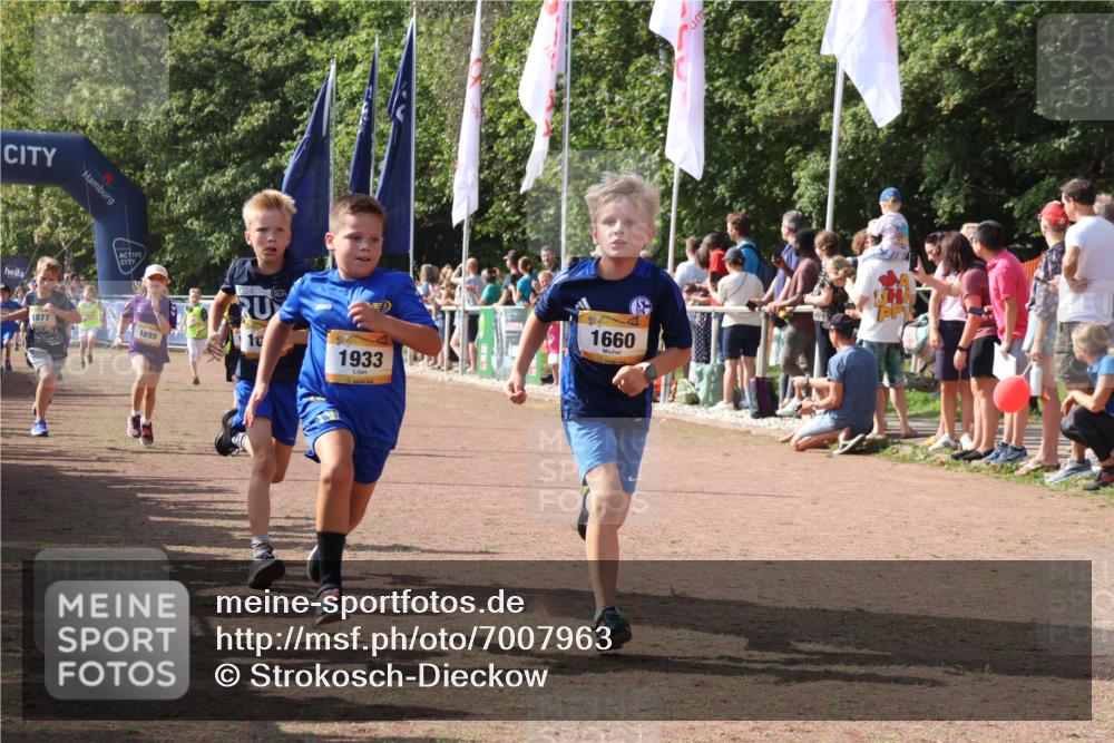 08.09.2024 - Airport Race Strokosch-Dieckow http://msf.ph/oto/7007963 08.09.2024 11:28:49 Ziel 1660, 1687, 1688, 1694, 1731, 1741, 1787, 1817, 1855, 1877, 1909, 1931, 1933, 3402, 3404 meine-sportfotos.de