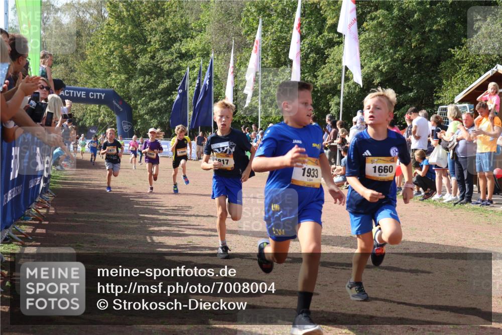 08.09.2024 - Airport Race Strokosch-Dieckow http://msf.ph/oto/7008004 08.09.2024 11:28:50 Ziel 1660, 1687, 1688, 1694, 1741, 1787, 1817, 1855, 1877, 1909, 1931, 1933, 3404 meine-sportfotos.de