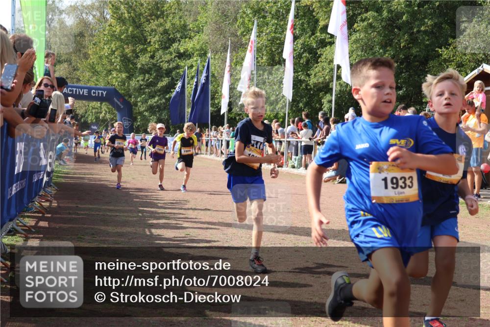 08.09.2024 - Airport Race Strokosch-Dieckow http://msf.ph/oto/7008024 08.09.2024 11:28:50 Ziel 1660, 1687, 1688, 1694, 1741, 1787, 1817, 1855, 1877, 1909, 1931, 1933, 3404 meine-sportfotos.de