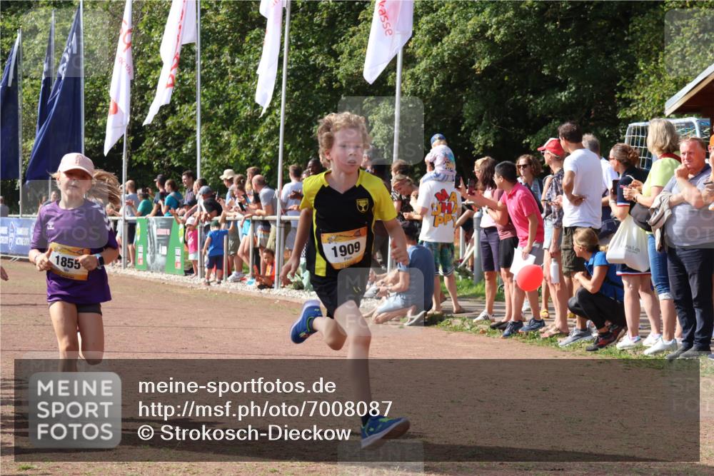 08.09.2024 - Airport Race Strokosch-Dieckow http://msf.ph/oto/7008087 08.09.2024 11:28:52 Ziel 1647, 1660, 1687, 1688, 1694, 1735, 1741, 1780, 1787, 1815, 1817, 1855, 1877, 1909, 1931 meine-sportfotos.de