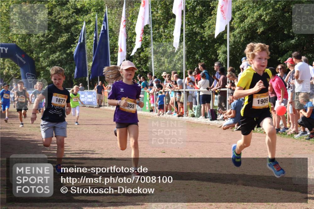 08.09.2024 - Airport Race Strokosch-Dieckow http://msf.ph/oto/7008100 08.09.2024 11:28:52 Ziel 1647, 1660, 1687, 1688, 1694, 1735, 1741, 1780, 1787, 1815, 1817, 1855, 1877, 1909, 1931 meine-sportfotos.de