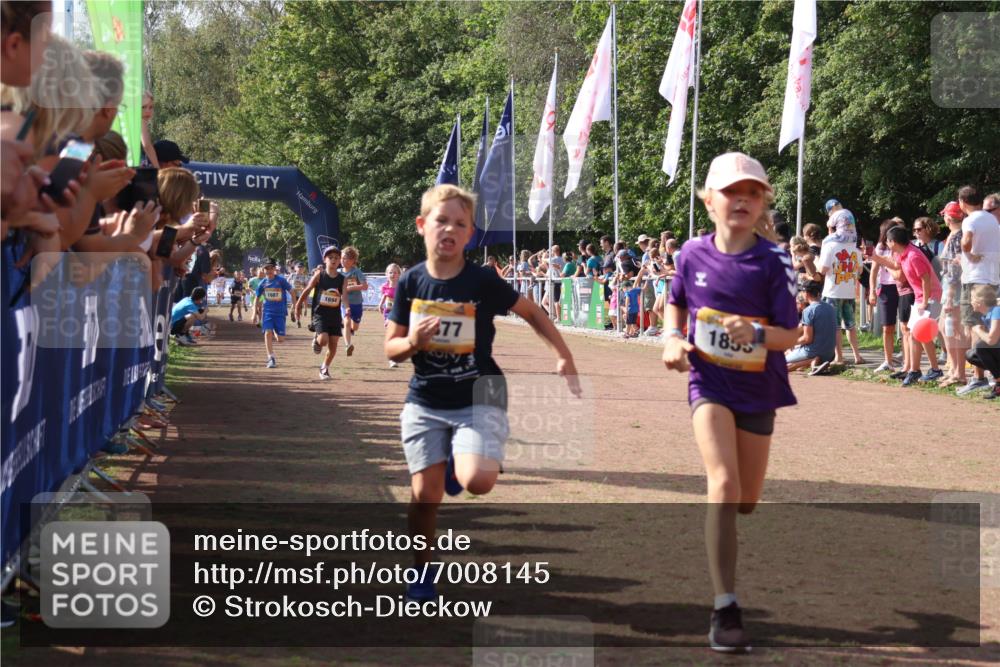 08.09.2024 - Airport Race Strokosch-Dieckow http://msf.ph/oto/7008145 08.09.2024 11:28:53 Ziel 1647, 1660, 1687, 1688, 1694, 1735, 1741, 1780, 1787, 1815, 1855, 1877, 1909, 1931 meine-sportfotos.de