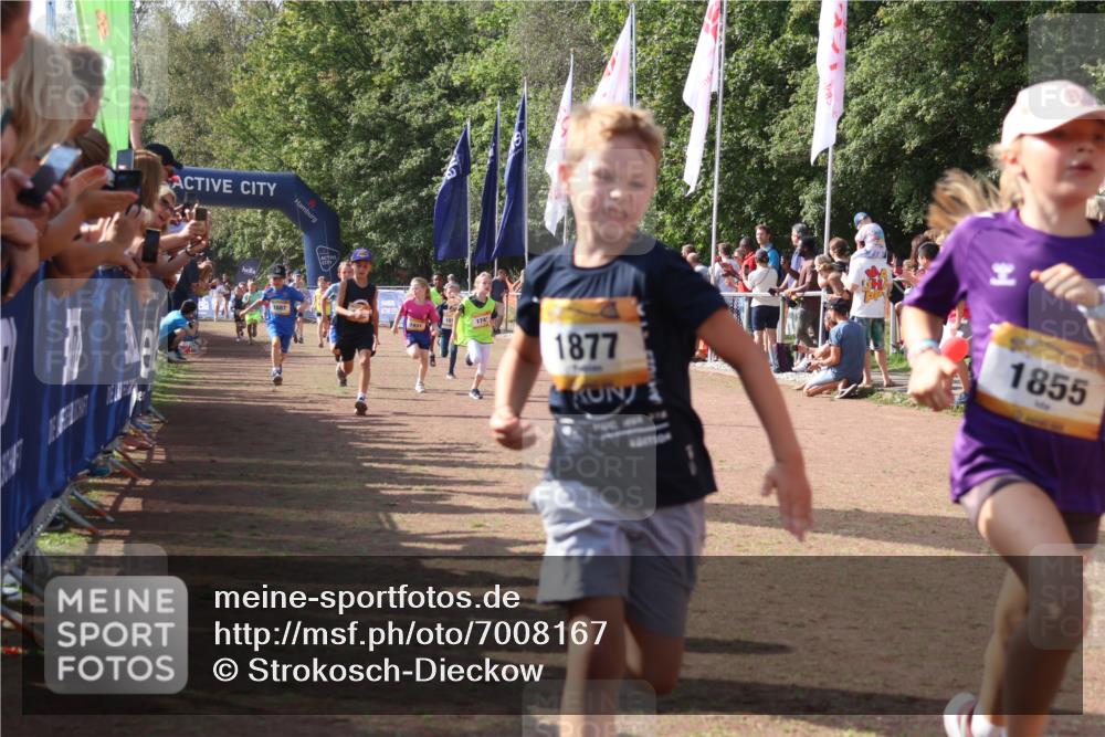 08.09.2024 - Airport Race Strokosch-Dieckow http://msf.ph/oto/7008167 08.09.2024 11:28:53 Ziel 1647, 1660, 1687, 1688, 1694, 1735, 1741, 1780, 1787, 1815, 1855, 1877, 1909, 1931 meine-sportfotos.de