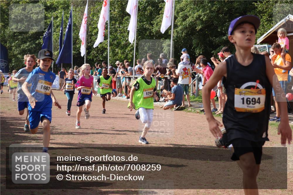 08.09.2024 - Airport Race Strokosch-Dieckow http://msf.ph/oto/7008259 08.09.2024 11:28:56 Ziel 1647, 1687, 1688, 1694, 1735, 1736, 1741, 1744, 1780, 1787, 1815, 1859, 1865, 1931, 1935 meine-sportfotos.de