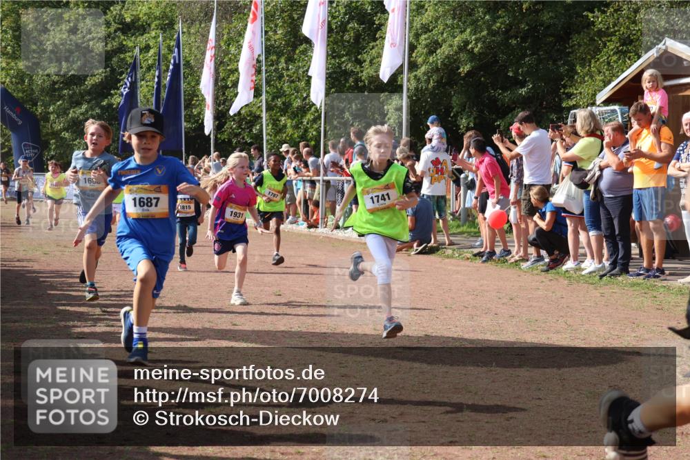 08.09.2024 - Airport Race Strokosch-Dieckow http://msf.ph/oto/7008274 08.09.2024 11:28:56 Ziel 1647, 1687, 1688, 1694, 1735, 1736, 1741, 1744, 1780, 1787, 1815, 1859, 1865, 1931, 1935 meine-sportfotos.de