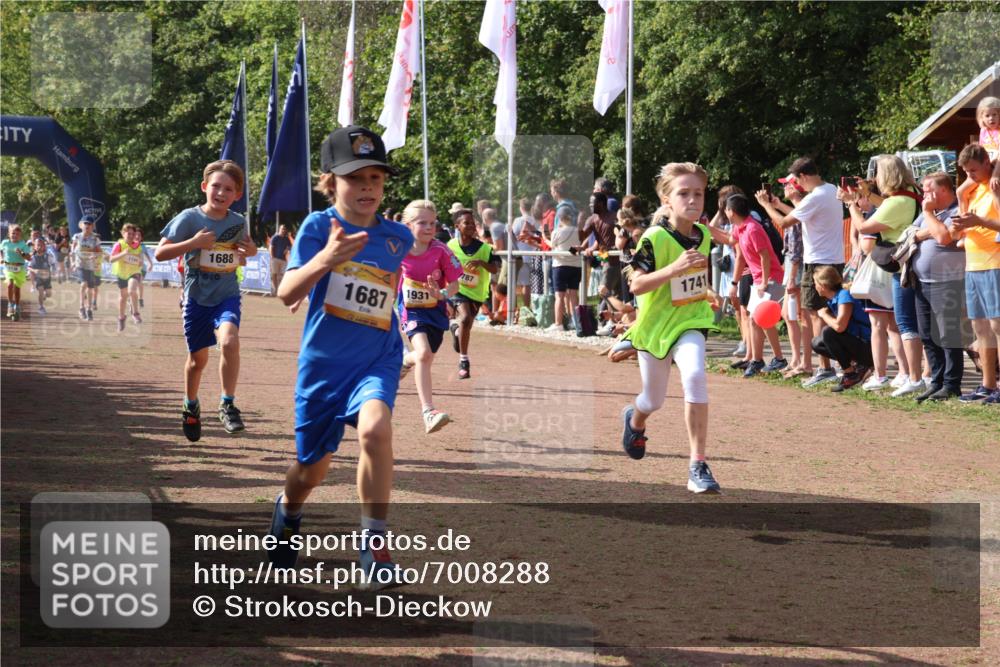 08.09.2024 - Airport Race Strokosch-Dieckow http://msf.ph/oto/7008288 08.09.2024 11:28:56 Ziel 1647, 1687, 1688, 1694, 1735, 1736, 1741, 1744, 1780, 1787, 1815, 1859, 1865, 1931, 1935 meine-sportfotos.de