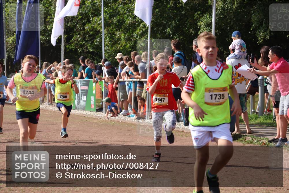 08.09.2024 - Airport Race Strokosch-Dieckow http://msf.ph/oto/7008427 08.09.2024 11:29:00 Ziel 1647, 1688, 1735, 1736, 1744, 1780, 1787, 1811, 1813, 1815, 1846, 1847, 1859, 1865, 1931, 1935, 1940 meine-sportfotos.de