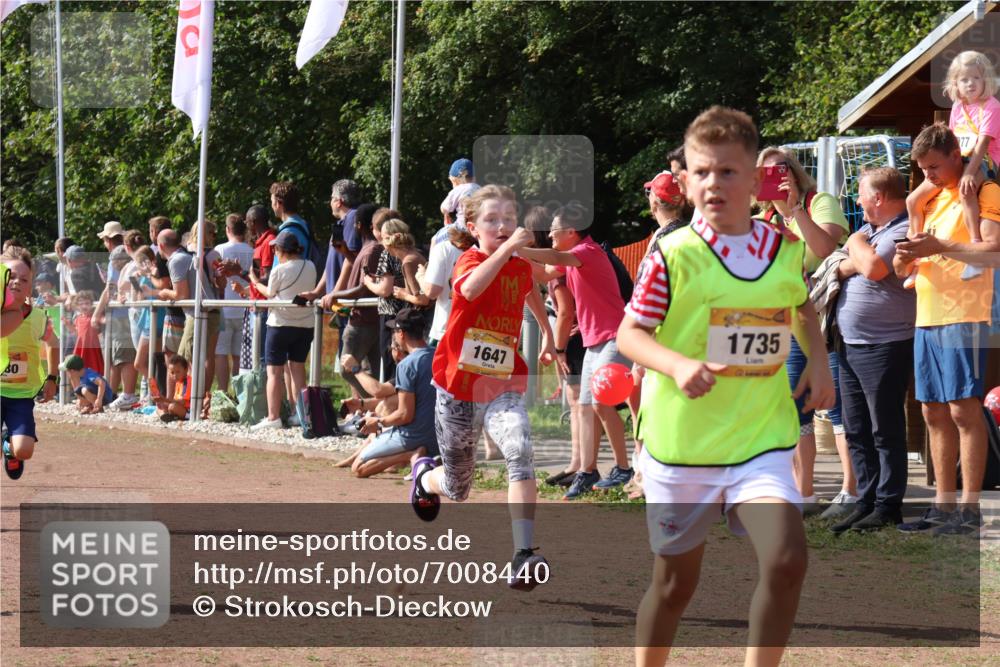 08.09.2024 - Airport Race Strokosch-Dieckow http://msf.ph/oto/7008440 08.09.2024 11:29:01 Ziel 1647, 1688, 1735, 1736, 1744, 1765, 1780, 1787, 1811, 1813, 1815, 1846, 1847, 1859, 1865, 1931, 1935, 1940, 3411 meine-sportfotos.de