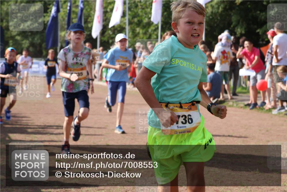 08.09.2024 - Airport Race Strokosch-Dieckow http://msf.ph/oto/7008553 08.09.2024 11:29:04 Ziel 1735, 1736, 1744, 1765, 1780, 1811, 1813, 1846, 1847, 1859, 1865, 1935, 1940, 3411 meine-sportfotos.de