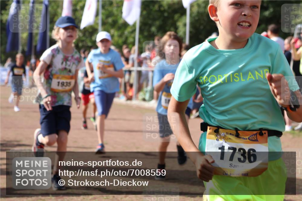 08.09.2024 - Airport Race Strokosch-Dieckow http://msf.ph/oto/7008559 08.09.2024 11:29:04 Ziel 1735, 1736, 1744, 1765, 1780, 1811, 1813, 1846, 1847, 1859, 1865, 1935, 1940, 3411 meine-sportfotos.de