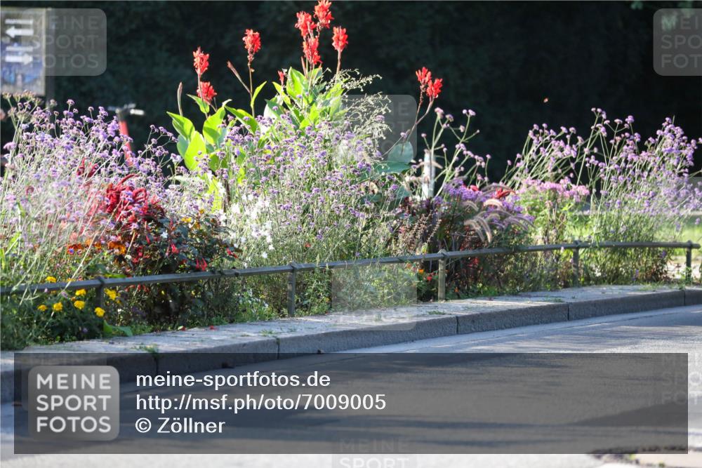 08.09.2024 - Stadtparktriathlon Zöllner http://msf.ph/oto/7009005 08.09.2024 08:54:00 Radfahren 6, 7, 13, 16, 64 meine-sportfotos.de
