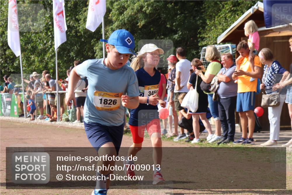 08.09.2024 - Airport Race Strokosch-Dieckow http://msf.ph/oto/7009013 08.09.2024 11:29:14 Ziel 1686, 1711, 1800, 1826, 1888, 1913, 3437, 3450 meine-sportfotos.de