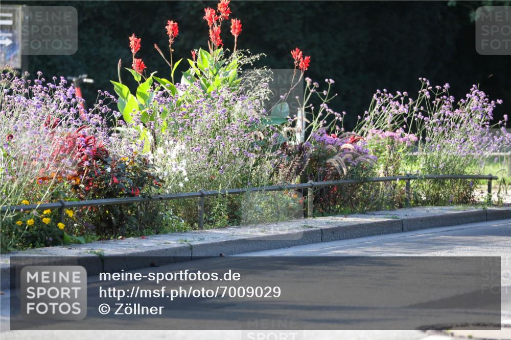 08.09.2024 - Stadtparktriathlon Zöllner http://msf.ph/oto/7009029 08.09.2024 08:54:00 Radfahren 6, 7, 13, 16, 64 meine-sportfotos.de