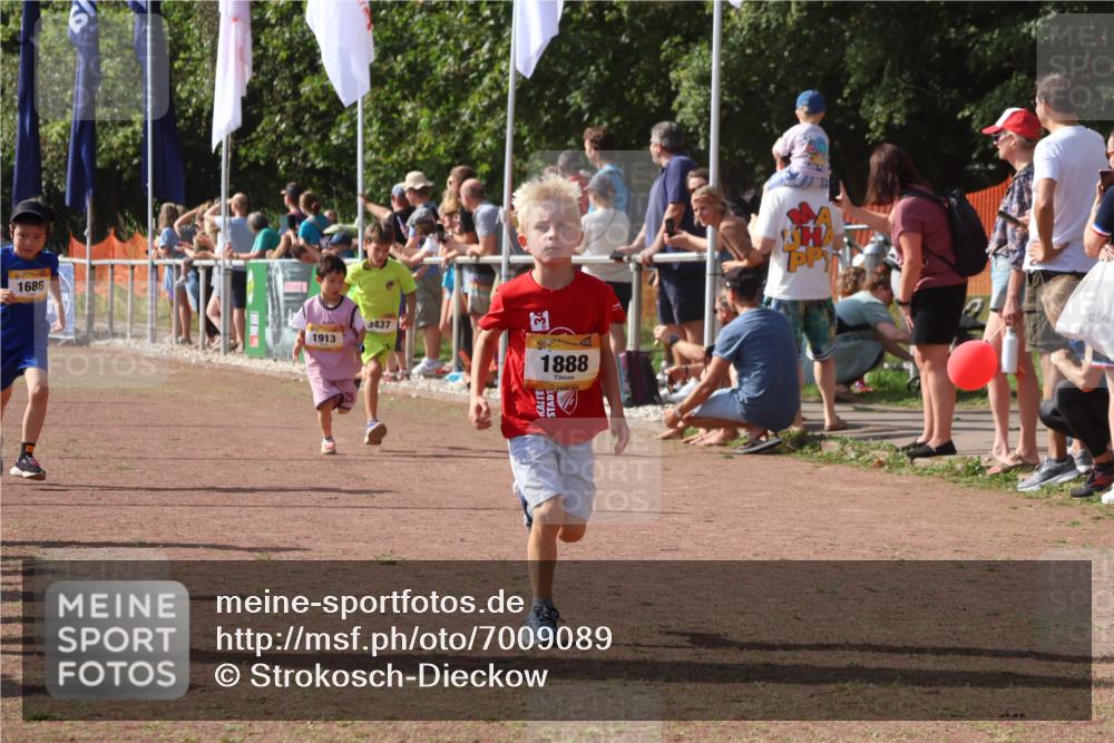 08.09.2024 - Airport Race Strokosch-Dieckow http://msf.ph/oto/7009089 08.09.2024 11:29:16 Ziel 1686, 1710, 1711, 1800, 1826, 1854, 1888, 1913, 3437, 3450 meine-sportfotos.de