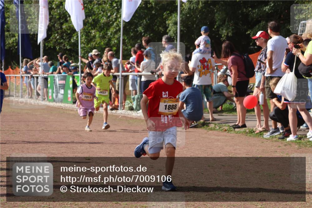 08.09.2024 - Airport Race Strokosch-Dieckow http://msf.ph/oto/7009106 08.09.2024 11:29:16 Ziel 1686, 1710, 1711, 1800, 1826, 1854, 1888, 1913, 3437, 3450 meine-sportfotos.de