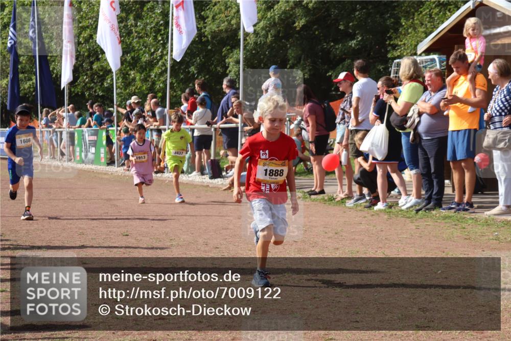 08.09.2024 - Airport Race Strokosch-Dieckow http://msf.ph/oto/7009122 08.09.2024 11:29:17 Ziel 1686, 1710, 1711, 1800, 1826, 1854, 1888, 1913, 3437, 3442, 3450 meine-sportfotos.de