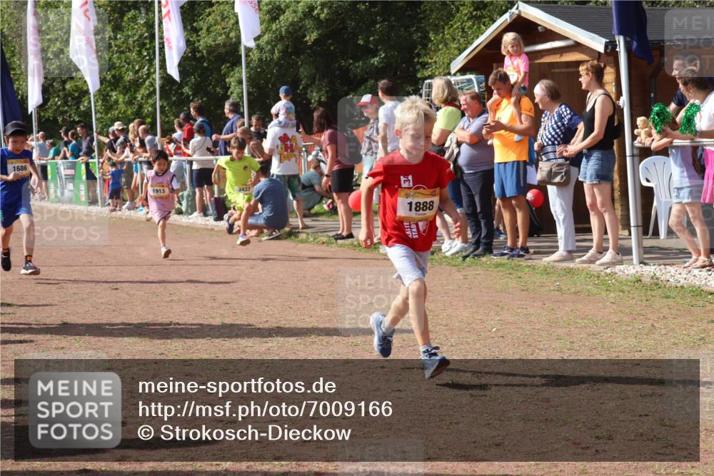 08.09.2024 - Airport Race Strokosch-Dieckow http://msf.ph/oto/7009166 08.09.2024 11:29:17 Ziel 1686, 1710, 1711, 1800, 1826, 1854, 1888, 1913, 3437, 3442, 3450 meine-sportfotos.de