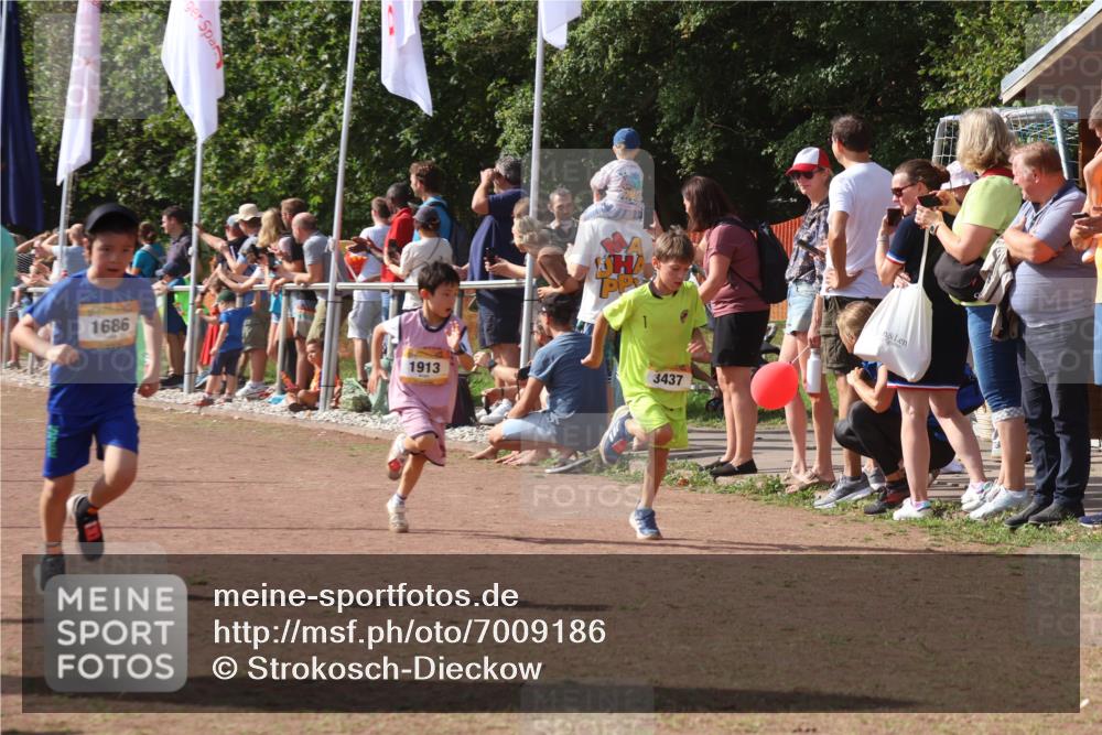 08.09.2024 - Airport Race Strokosch-Dieckow http://msf.ph/oto/7009186 08.09.2024 11:29:18 Ziel 1630, 1686, 1710, 1711, 1800, 1826, 1854, 1888, 1913, 3437, 3442, 3450 meine-sportfotos.de