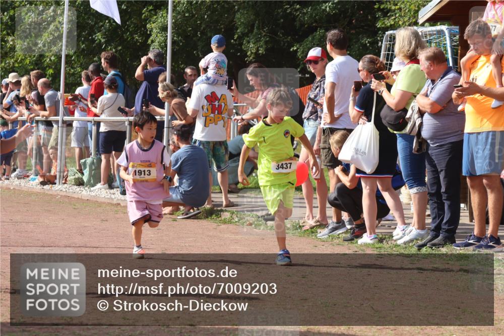 08.09.2024 - Airport Race Strokosch-Dieckow http://msf.ph/oto/7009203 08.09.2024 11:29:18 Ziel 1630, 1686, 1710, 1711, 1800, 1826, 1854, 1888, 1913, 3437, 3442, 3450 meine-sportfotos.de