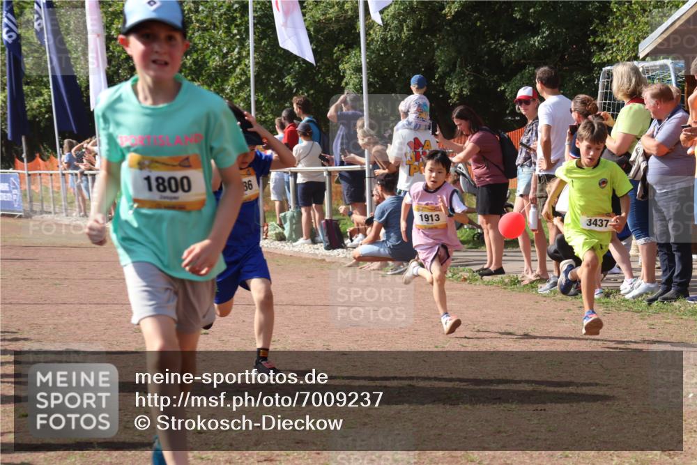 08.09.2024 - Airport Race Strokosch-Dieckow http://msf.ph/oto/7009237 08.09.2024 11:29:19 Ziel 1630, 1651, 1686, 1710, 1711, 1800, 1854, 1888, 1913, 3437, 3442 meine-sportfotos.de