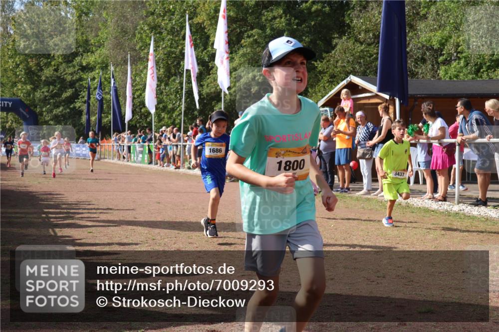 08.09.2024 - Airport Race Strokosch-Dieckow http://msf.ph/oto/7009293 08.09.2024 11:29:19 Ziel 1630, 1651, 1686, 1710, 1711, 1800, 1854, 1888, 1913, 3437, 3442 meine-sportfotos.de