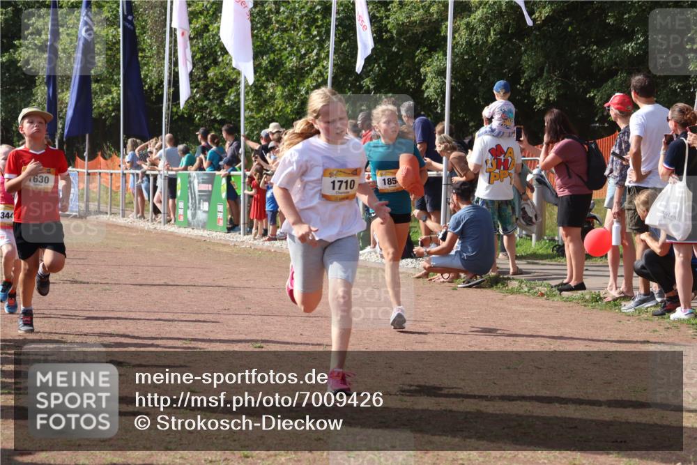 08.09.2024 - Airport Race Strokosch-Dieckow http://msf.ph/oto/7009426 08.09.2024 11:29:23 Ziel 1630, 1644, 1651, 1686, 1696, 1710, 1711, 1778, 1854, 1913, 1920, 3414, 3437, 3442 meine-sportfotos.de