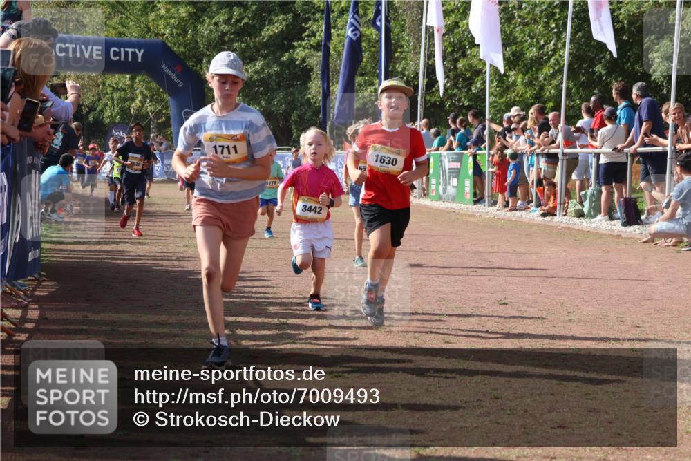 08.09.2024 - Airport Race Strokosch-Dieckow http://msf.ph/oto/7009493 08.09.2024 11:29:24 Ziel 1630, 1644, 1651, 1656, 1696, 1699, 1701, 1710, 1711, 1778, 1854, 1913, 1920, 3414, 3442 meine-sportfotos.de