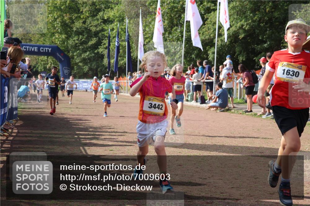 08.09.2024 - Airport Race Strokosch-Dieckow http://msf.ph/oto/7009603 08.09.2024 11:29:26 Ziel 1630, 1641, 1644, 1651, 1656, 1696, 1699, 1701, 1710, 1711, 1772, 1778, 1791, 1854, 1920, 3414, 3442 meine-sportfotos.de
