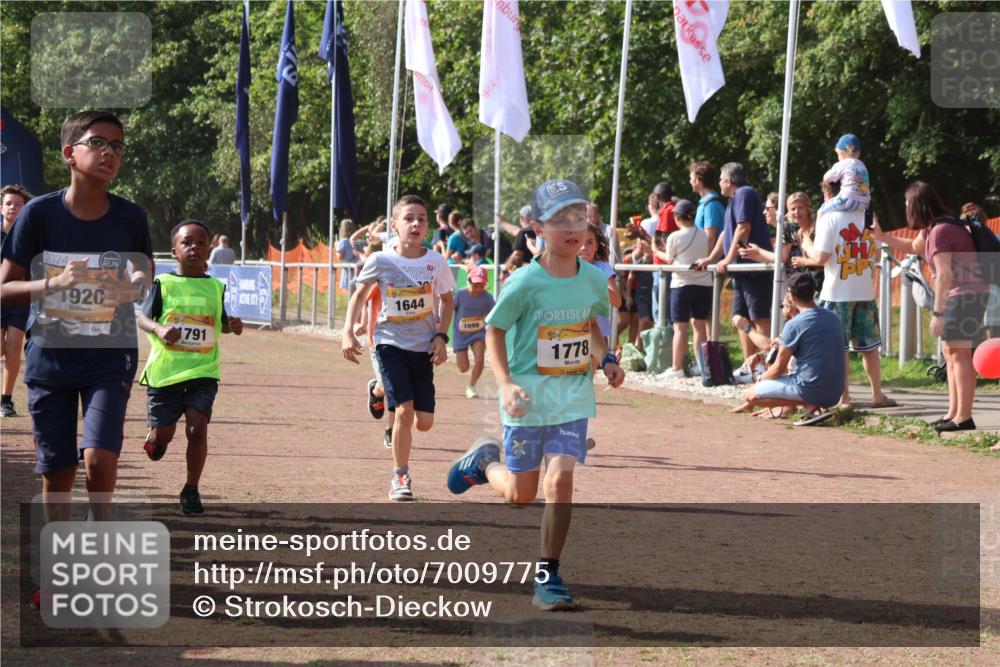 08.09.2024 - Airport Race Strokosch-Dieckow http://msf.ph/oto/7009775 08.09.2024 11:29:29 Ziel 1630, 1635, 1637, 1641, 1644, 1651, 1656, 1696, 1699, 1701, 1772, 1778, 1791, 1891, 1920, 3414, 3442 meine-sportfotos.de