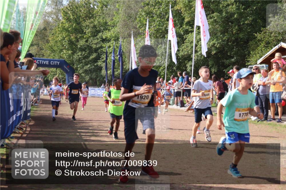 08.09.2024 - Airport Race Strokosch-Dieckow http://msf.ph/oto/7009839 08.09.2024 11:29:31 Ziel 1635, 1636, 1637, 1641, 1644, 1651, 1656, 1696, 1699, 1701, 1772, 1778, 1791, 1864, 1891, 1920, 3414 meine-sportfotos.de