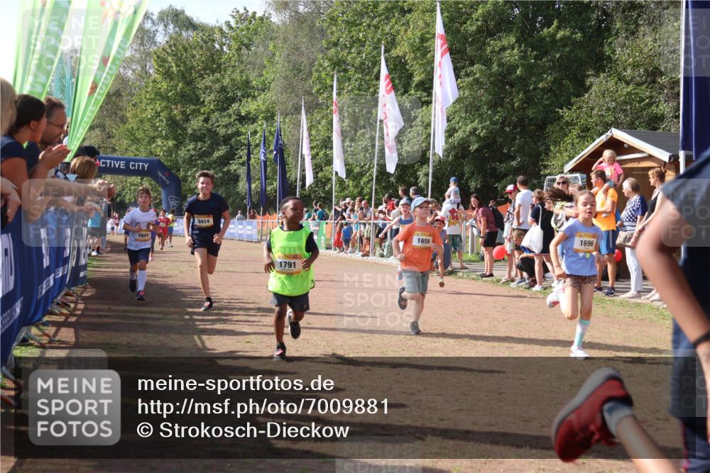 08.09.2024 - Airport Race Strokosch-Dieckow http://msf.ph/oto/7009881 08.09.2024 11:29:32 Ziel 1635, 1636, 1637, 1641, 1644, 1656, 1696, 1699, 1701, 1772, 1778, 1791, 1864, 1891, 1920, 3414 meine-sportfotos.de