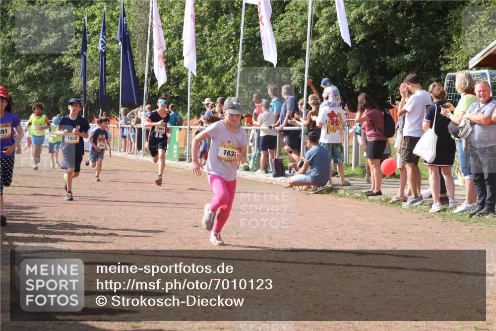08.09.2024 - Airport Race Strokosch-Dieckow http://msf.ph/oto/7010123 08.09.2024 11:29:36 Ziel 1635, 1636, 1637, 1641, 1656, 1667, 1699, 1701, 1769, 1772, 1789, 1791, 1849, 1864, 1891, 1916, 1922, 3434 meine-sportfotos.de