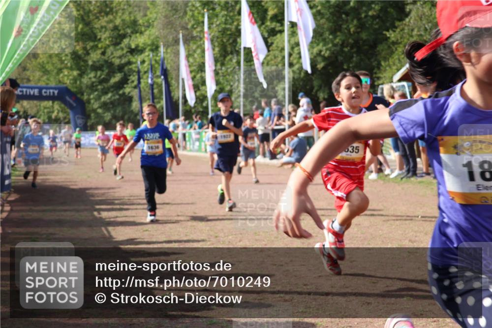 08.09.2024 - Airport Race Strokosch-Dieckow http://msf.ph/oto/7010249 08.09.2024 11:29:39 Ziel 1634, 1635, 1636, 1637, 1667, 1728, 1769, 1789, 1836, 1844, 1849, 1864, 1891, 1916, 1922, 3434 meine-sportfotos.de