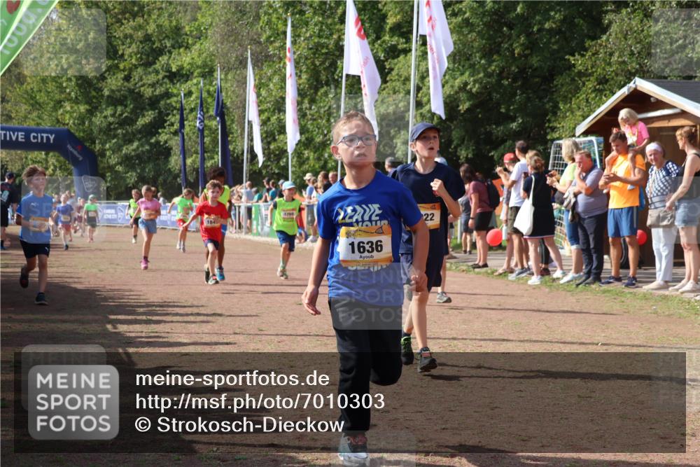 08.09.2024 - Airport Race Strokosch-Dieckow http://msf.ph/oto/7010303 08.09.2024 11:29:40 Ziel 1634, 1635, 1636, 1637, 1667, 1728, 1769, 1789, 1836, 1844, 1849, 1864, 1916, 1922, 3434 meine-sportfotos.de