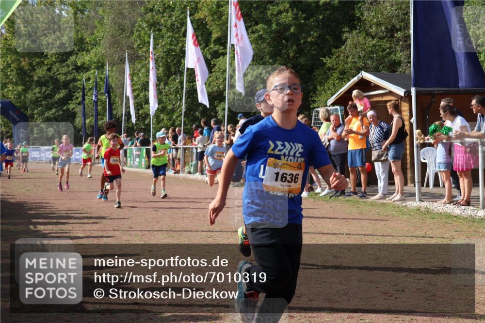 08.09.2024 - Airport Race Strokosch-Dieckow http://msf.ph/oto/7010319 08.09.2024 11:29:40 Ziel 1634, 1635, 1636, 1637, 1667, 1728, 1769, 1789, 1836, 1844, 1849, 1864, 1916, 1922, 3434 meine-sportfotos.de