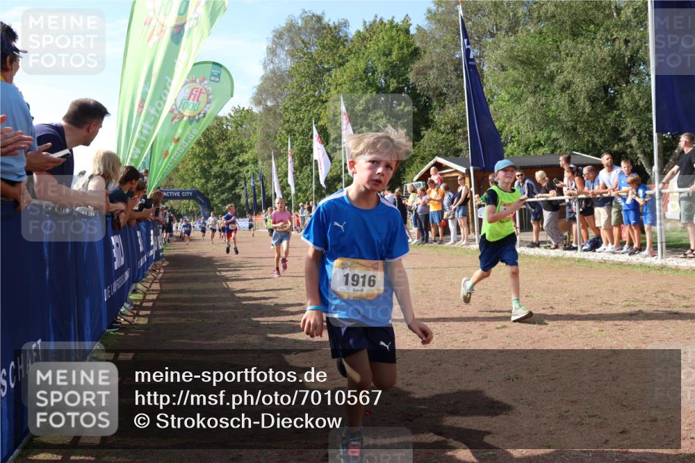 08.09.2024 - Airport Race Strokosch-Dieckow http://msf.ph/oto/7010567 08.09.2024 11:29:44 Ziel 1634, 1665, 1667, 1681, 1728, 1769, 1789, 1836, 1841, 1842, 1844, 1849, 1868, 1903, 1916, 1922, 1925, 3434 meine-sportfotos.de