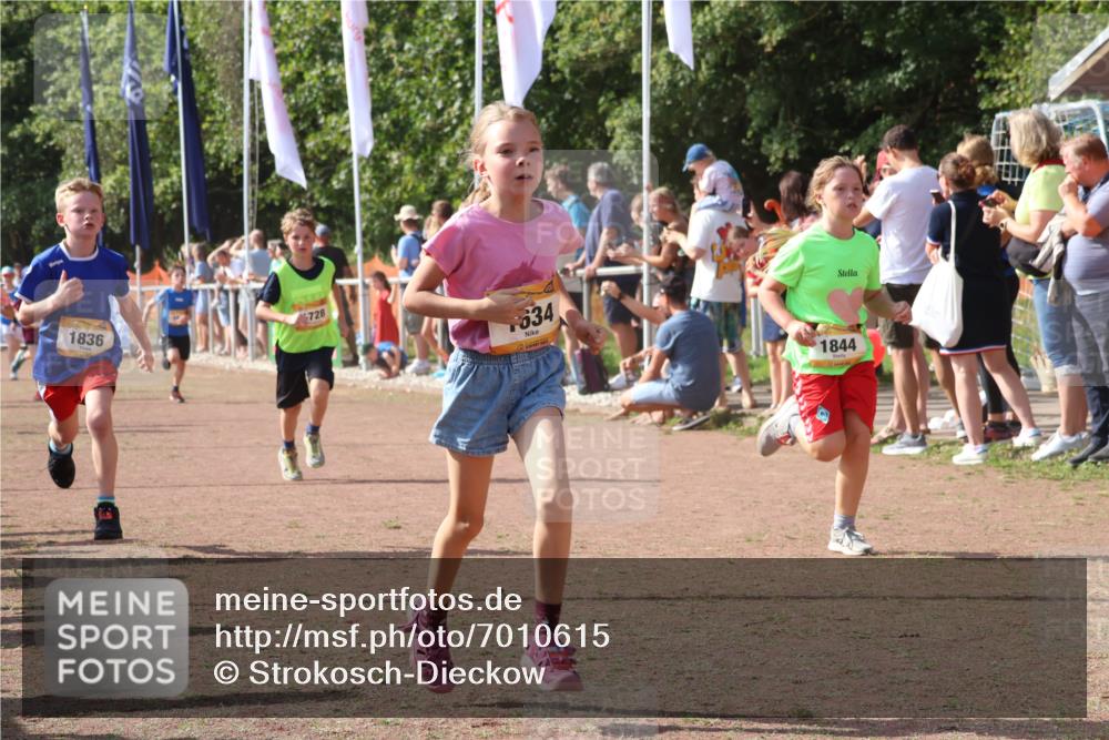 08.09.2024 - Airport Race Strokosch-Dieckow http://msf.ph/oto/7010615 08.09.2024 11:29:45 Ziel 1634, 1665, 1667, 1673, 1681, 1728, 1769, 1789, 1836, 1841, 1842, 1844, 1849, 1868, 1879, 1903, 1916, 1922, 1925, 1928, 3434 meine-sportfotos.de