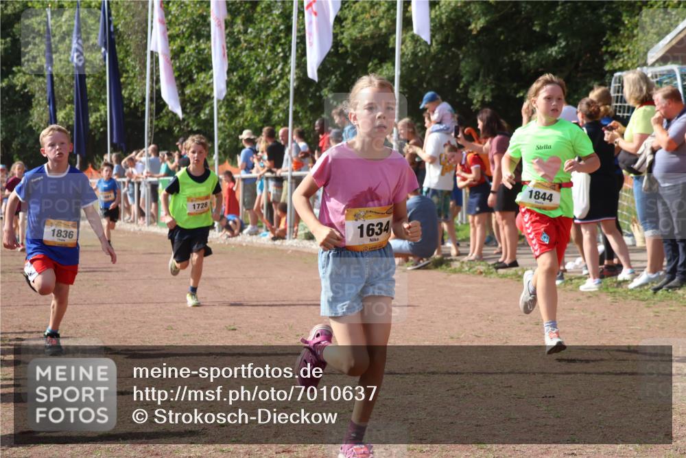 08.09.2024 - Airport Race Strokosch-Dieckow http://msf.ph/oto/7010637 08.09.2024 11:29:45 Ziel 1634, 1665, 1667, 1673, 1681, 1728, 1769, 1789, 1836, 1841, 1842, 1844, 1849, 1868, 1879, 1903, 1916, 1922, 1925, 1928, 3434 meine-sportfotos.de