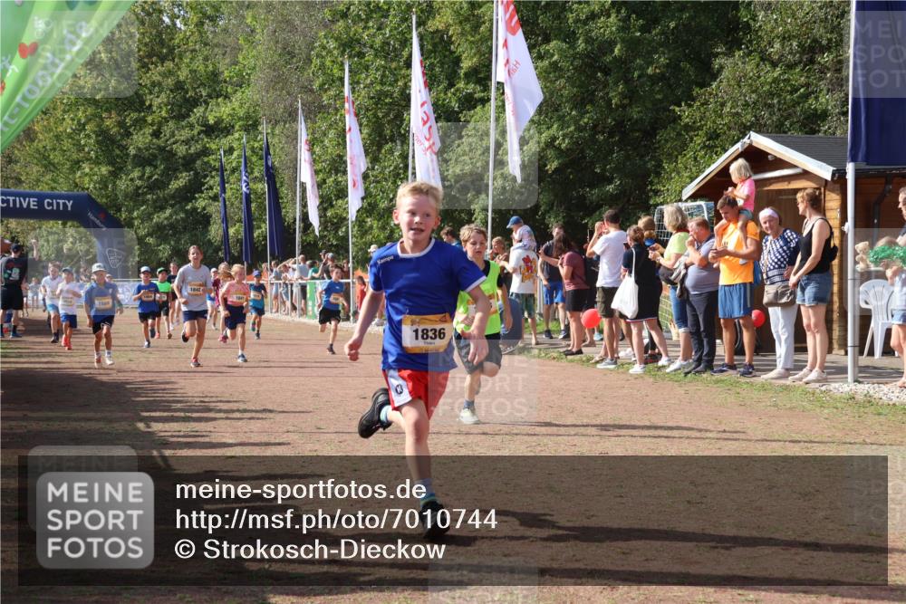 08.09.2024 - Airport Race Strokosch-Dieckow http://msf.ph/oto/7010744 08.09.2024 11:29:47 Ziel 1634, 1665, 1673, 1681, 1712, 1720, 1728, 1769, 1814, 1836, 1841, 1842, 1844, 1868, 1879, 1903, 1916, 1925, 1928, 3409 meine-sportfotos.de