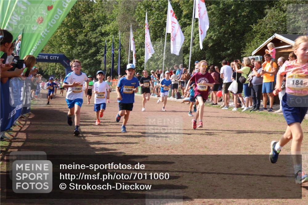 08.09.2024 - Airport Race Strokosch-Dieckow http://msf.ph/oto/7011060 08.09.2024 11:29:52 Ziel 1665, 1673, 1681, 1712, 1720, 1775, 1810, 1814, 1837, 1841, 1842, 1851, 1868, 1879, 1903, 1925, 1928, 3409 meine-sportfotos.de