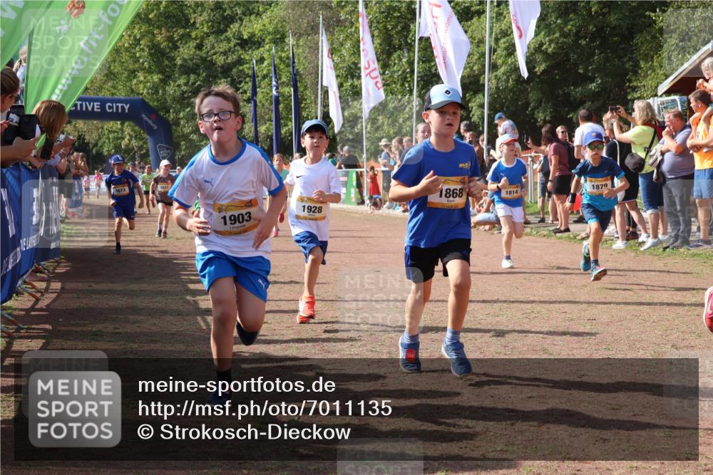 08.09.2024 - Airport Race Strokosch-Dieckow http://msf.ph/oto/7011135 08.09.2024 11:29:53 Ziel 1617, 1638, 1665, 1673, 1681, 1712, 1720, 1775, 1810, 1814, 1837, 1841, 1842, 1851, 1868, 1879, 1903, 1925, 1928, 3409 meine-sportfotos.de